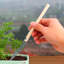 Basel Elegance Indoor Ceramic Pottery Kit