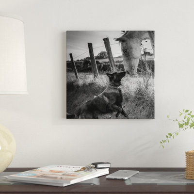 Farmhouse / Country