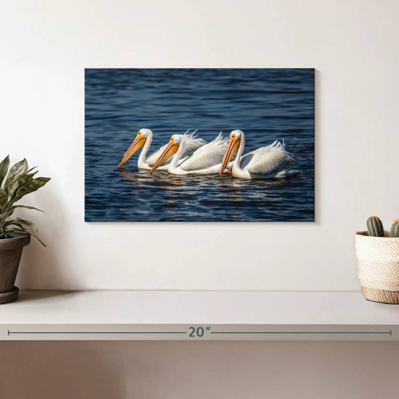 Bramic Ding Darling White Pelicans, H 8 po x l 12 po