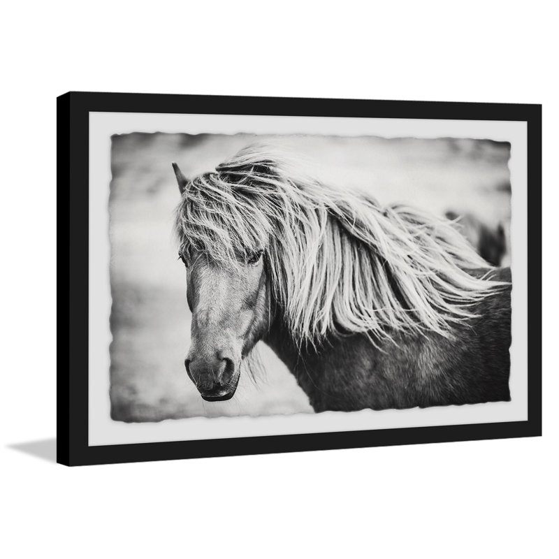 " Beautiful Mane ", 8" H x 12" W, White