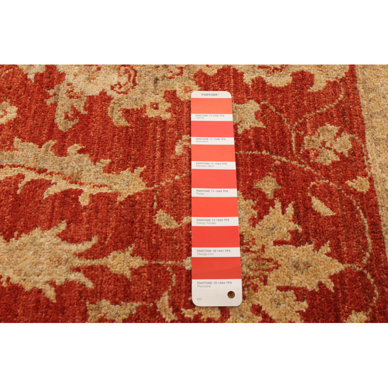 Tapis unique en laine noué à la main 3 pi 4 po x 5 pi nouvel âge Gwana