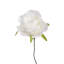 Polyethylene (PE) Rose Arrangement