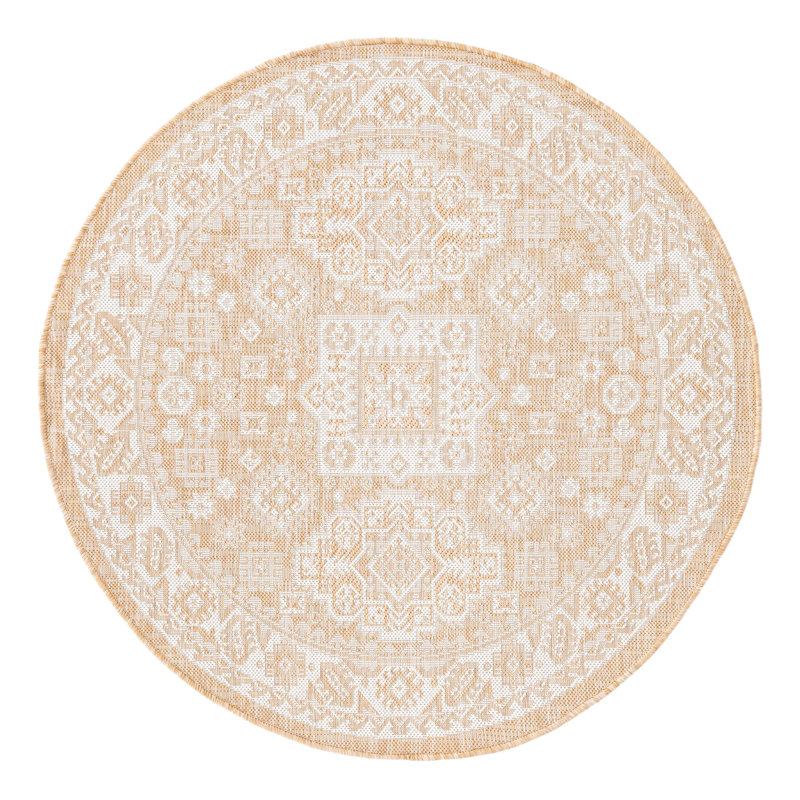 Danera Oriental Indoor / Outdoor Rug, Round 4'