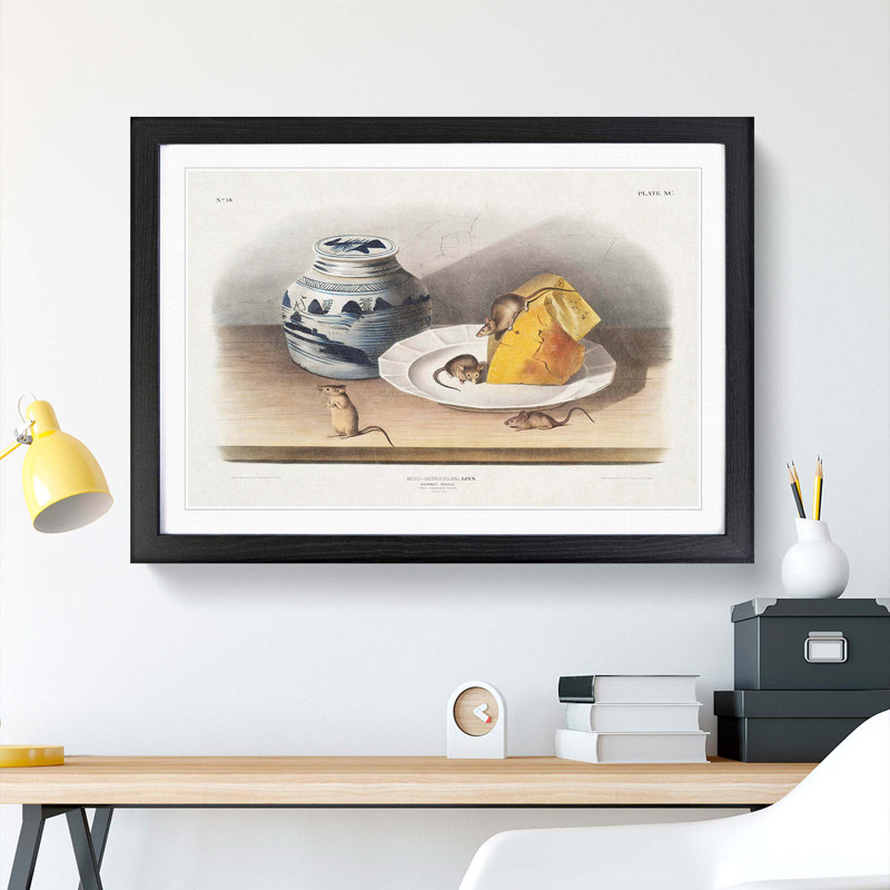 Mice by J.W. Audubon - Framed Print, 36cm H x 48cm W x 2cm D, Black Framed