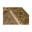 Oriental Area Rug
