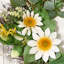 Dried 60cm Wreath