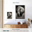 Brampt White African Rhinoceros-108229411