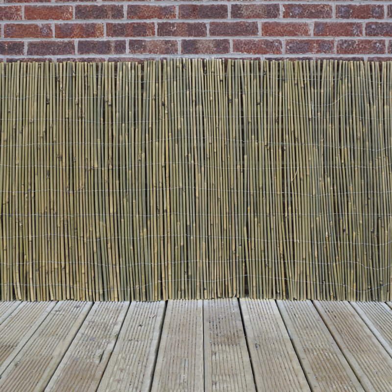 Dabria Bamboo, 68.6 W x 100 H x 0.5 D