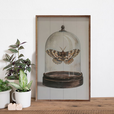 «Glass Moth I» par Petals Prints Design