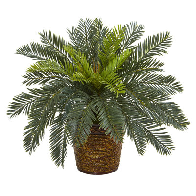 Cycas Artificial Plant in Basket