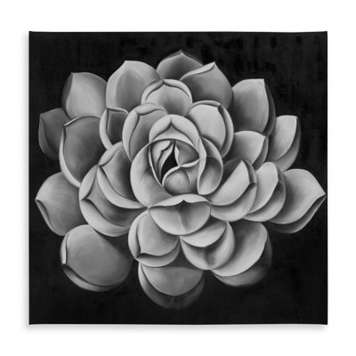 White Floral Tablecloth - Black and White Succulent Decor