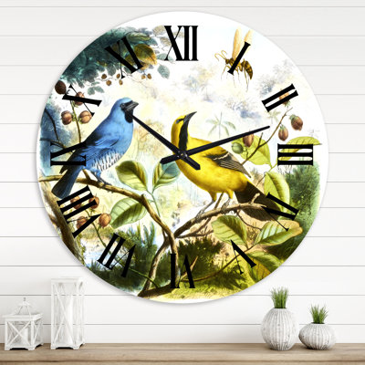 Oiseau bleu et jaune dans la nature - Horloge murale traditionnelle