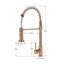 Belfry Kitchen Kitchen Faucet-1804408154