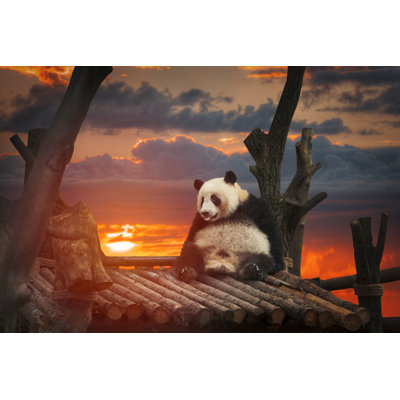 " Big Panda " by Lindrik