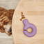 Falcon Hybrid Feeder/Toy-1314684356