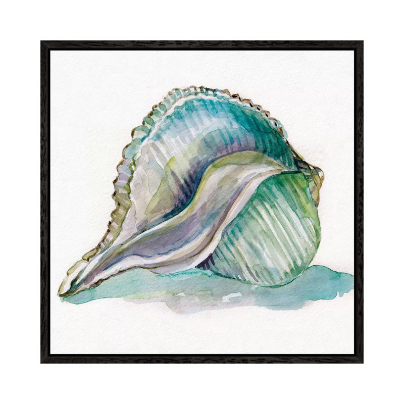 Malecon Shell I 1 Piece Wall Art on Canvas, 45.72 cm H x 45.72 cm W, Black Framed