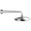 Adjustable Shower Head with Arm