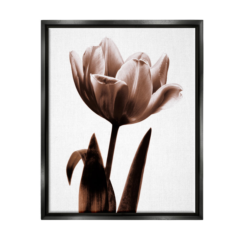 «Blooming Tulip Silhouette Floater» par Caroline Kelly, Cadre flottant noir de jais, H 21 po x l 17 po x P 1,7 po