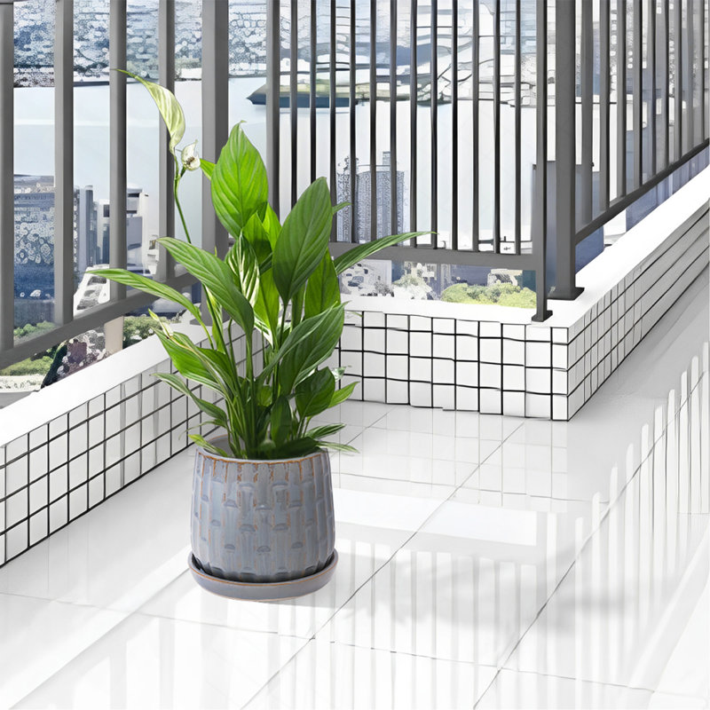 Ensemble de pots à fleurs en céramique émaillée faite à la main gris de 2, 6 po et 8 po de diamètre, à nervures verticales, pour les plantes d'intérieur et d'extérieur, pour les plantes grasses et les tables, en argile respirante avec soucoupes