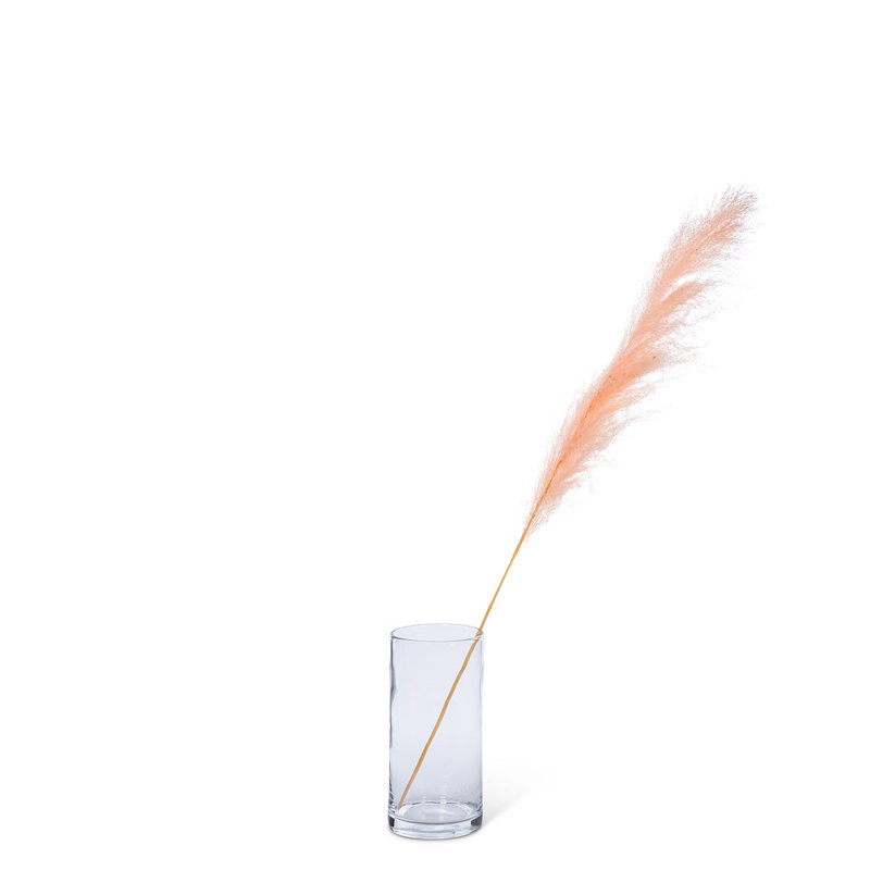 46'' Pampas Grass Grass, Large, Pink