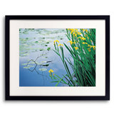 Iris And Lily Pads Design Print by Bruce Heinemann