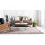 Oriental Area Rug-1681616388