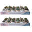 48 Piece Costa Farms Live Mini Succulent Low Maintenance Plant in Ceramic Pot
