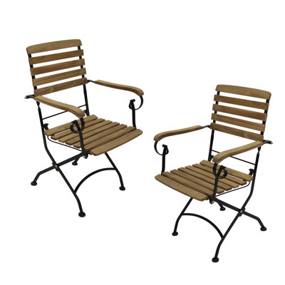 Peashrub Folding Patio Dining Armchair with Cushion