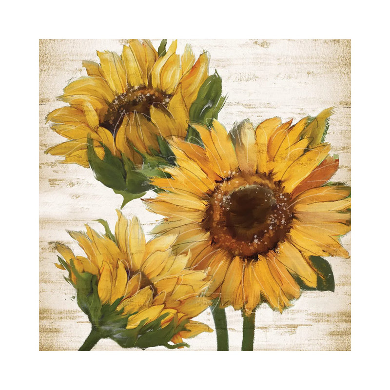 Sunflower Summer I by Conrad Knutsen - Wrapped Canvas Painting, 30.48 cm H x 30.48 cm W