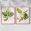 Impression encadrée MagnoliaFlowersI-Premium - prête à être accrochée - aucun clou requis - aucun clou requis-947790160-947790166