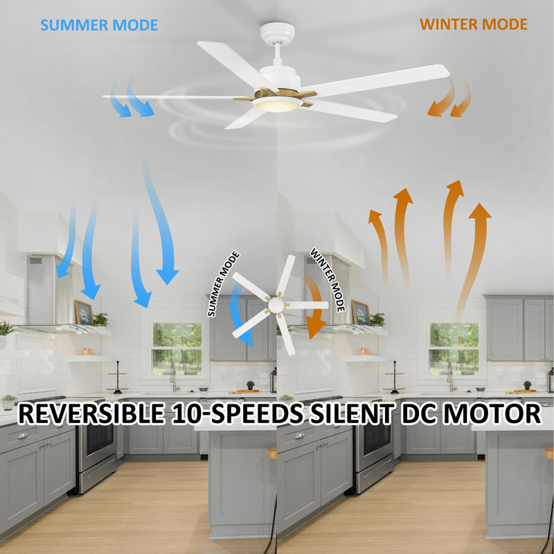 60'' Lisk 5 - Blade  Smart ceiling fan with light, White
