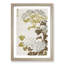 Hydrangea Flowers - Framed Print-55579052-55579054