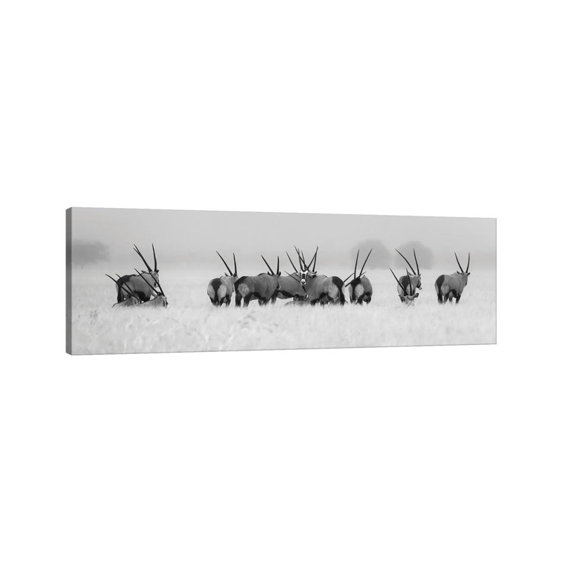Oryx In The Rain by Kirill Trubitsyn - Wrapped Canvas Panoramic Print, 121.92 cm H x 40.64 cm W