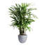 Pot à fleur Dorlis Fiberstone-881441047-881441045