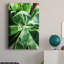 «Green Tropcal Succulent», impression sur toile tendue-1482392774