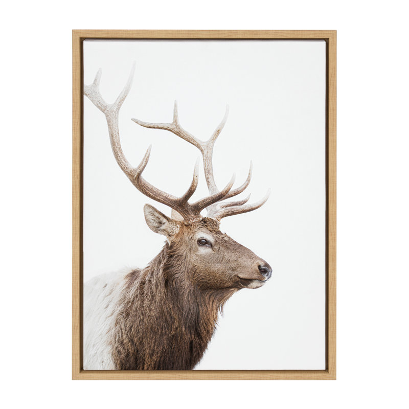 «Stag Profile» par Amy Peterson, reproduction d'art sur toile encadrée, Encadré naturel, H 18 po x l 24 po