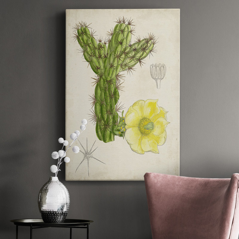 Antique Cactus I - impression sur toile tendue, H 36 po x l 24 po x P 1 po
