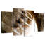 Griffes d'ours Brampt-108900890