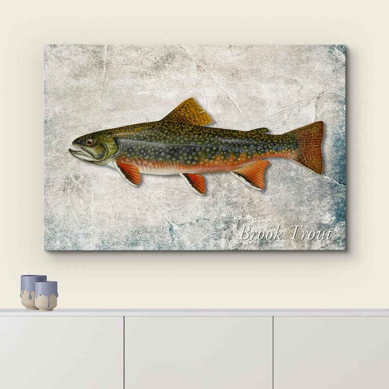 «Trout Fish on Granite Marine Life Animals» sur toile, H 24 po x l 36 po, Toile tendue