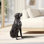 Bronze Sitting Labrador Life Size Resin Home Decor Living Room Display