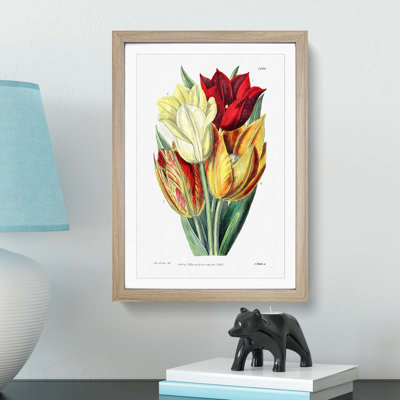 Rough-Stemmed Tulips - Picture Frame Graphic Art Print