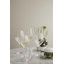 Cabernet Lines - verre bourgogne-759004262