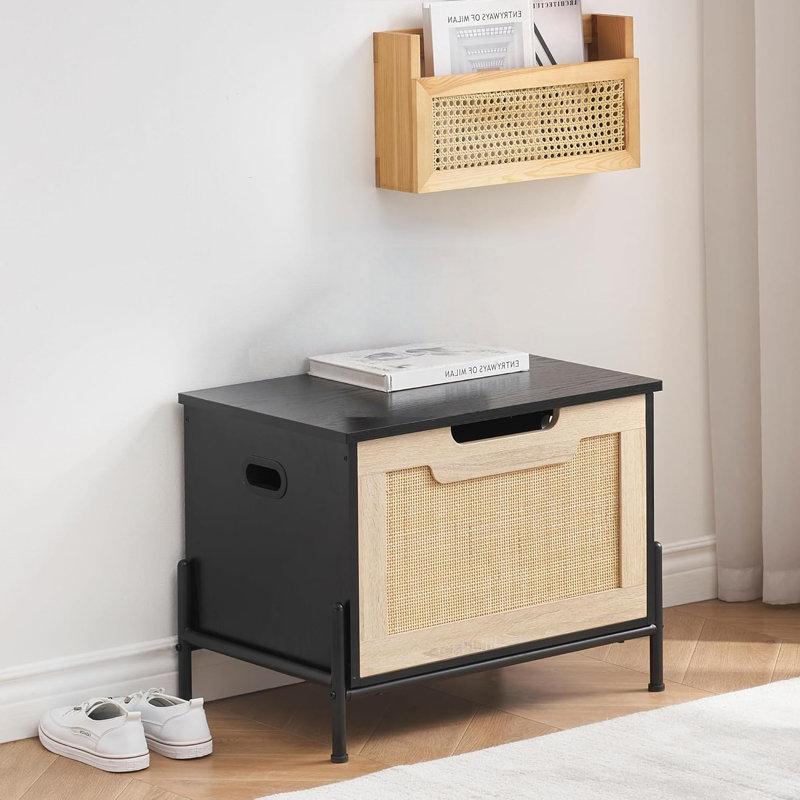 Accent Trunk