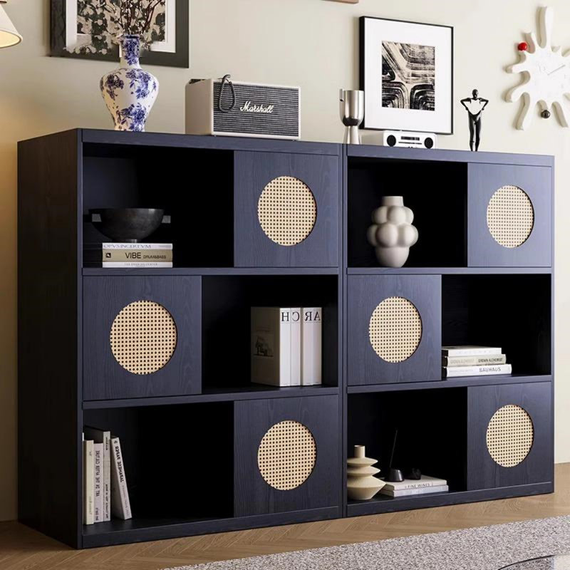 Simple and Light Luxury Black Display Cabinet