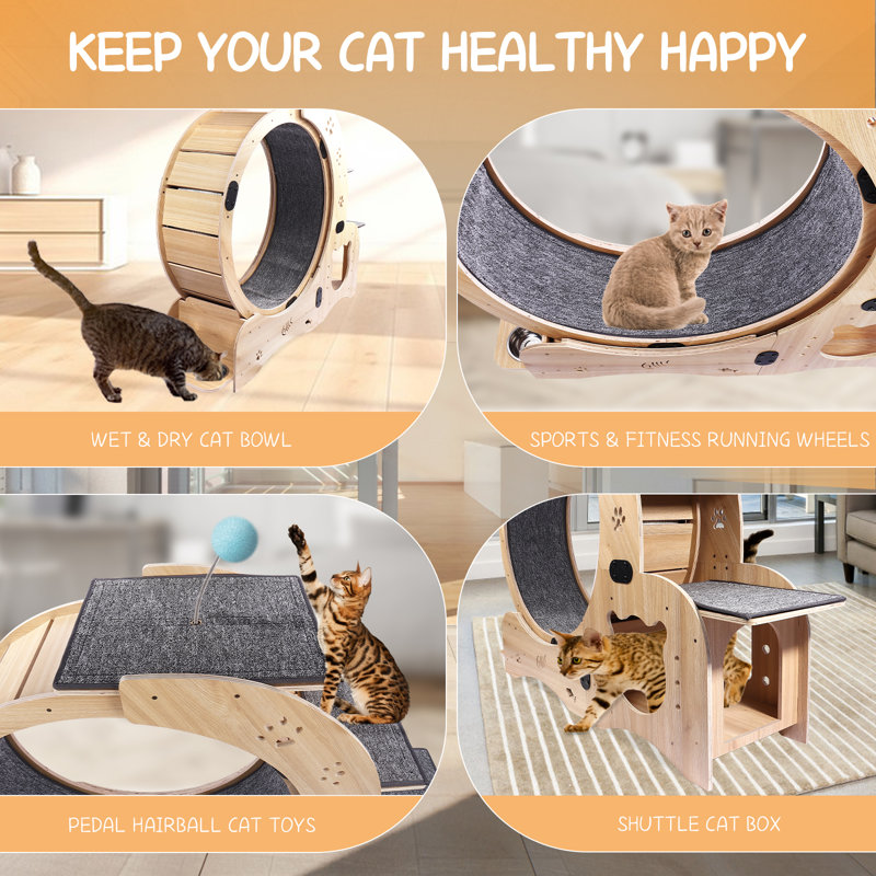Large Silent Cat Exercise Wheel And Treadmill For Indoor Cats