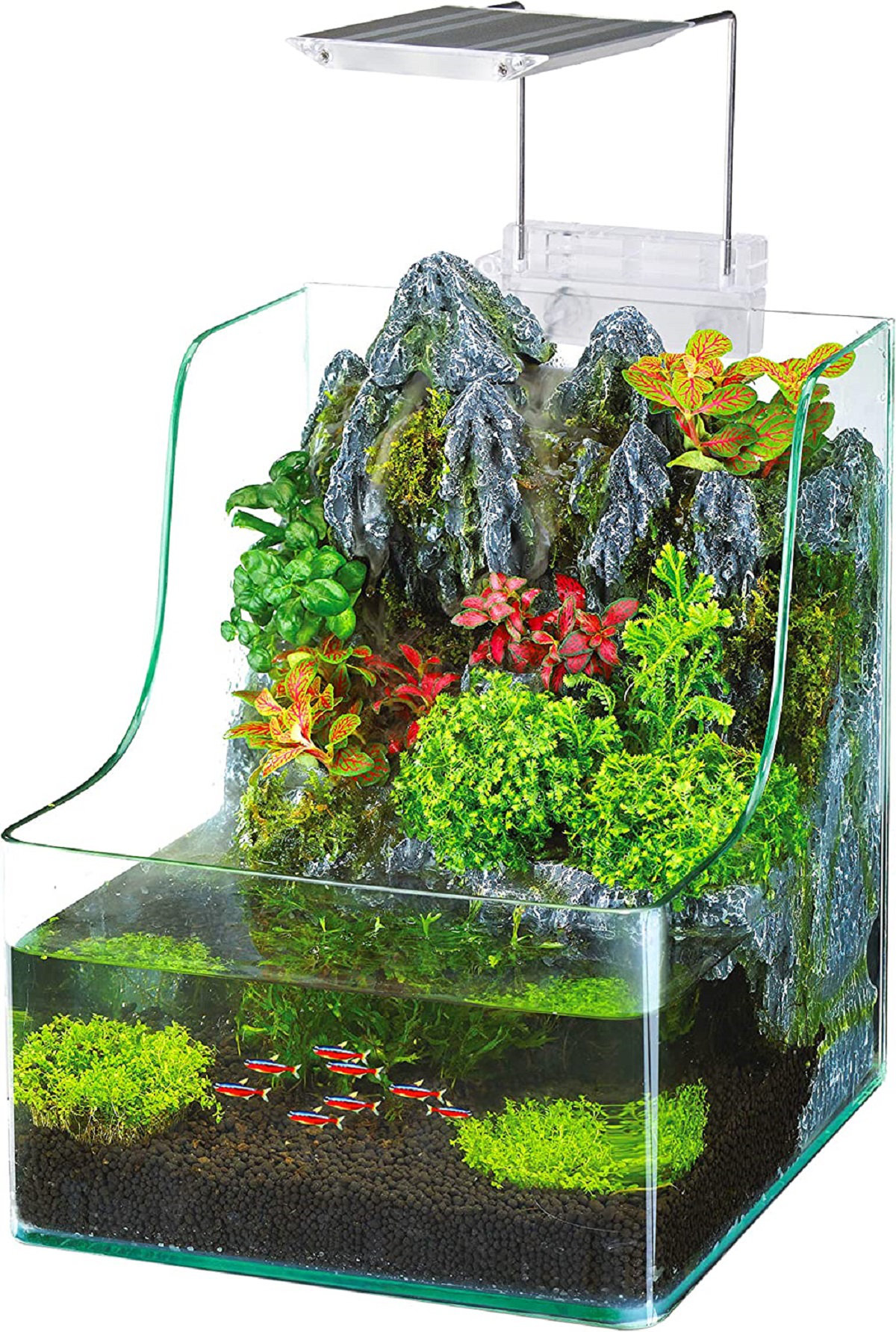 Penn Plax 1 Gallon AquaTerrium Aquarium Tank & Reviews | Wayfair Penn Plax 1 Gallon AquaTerrium Aquarium Tank & Reviews | Wayfair