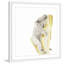 «Baby Koala I», reproduction encadrée-21183721