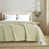 Vert sauge Aster est en rupture de stock