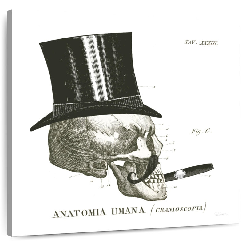 Dandy Bones III, 30" H x 30" W