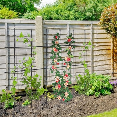 Paquet de 2 treillis de jardin, cages à plantes 2 en 1 et supports pour vignes